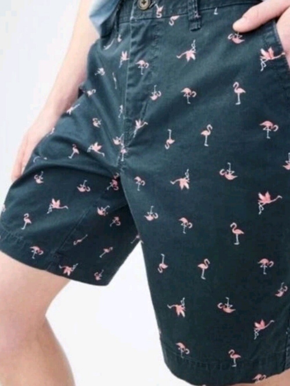 NWOT Aeropostale Gray Flamingo Summer Boardwalk Denim Shorts 34
